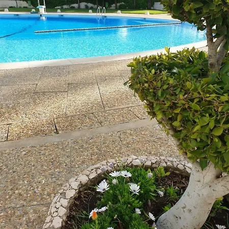 דירה Praia Da Rocha Paradise Apart *